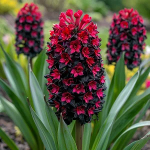 Гиацинт Джем Стоун купить по цене от 2099р. в интернет-магазине «Посадика» с доставкой почтой в в Яровоее и по всей России – [изображение №1].