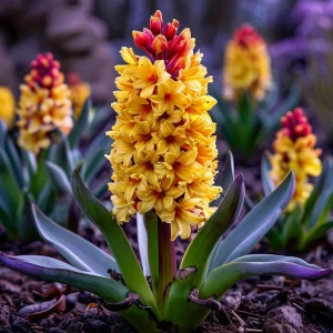 Гиацинт Миднайт Мистери купить по цене от 2099р. в интернет-магазине «Посадика» с доставкой почтой в в Яровоее и по всей России – [изображение №1].