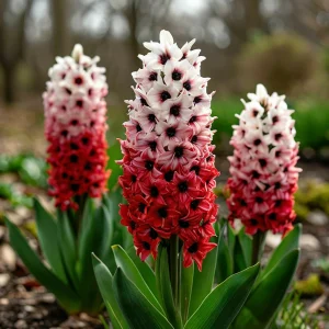 Гиацинт Скай Гарден купить по цене от 2099р. в интернет-магазине «Посадика» с доставкой почтой в в Яровоее и по всей России – [изображение №1].