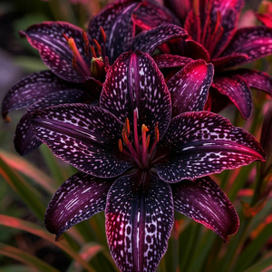 Лилейник Вояж купить по цене от 699р. в интернет-магазине «Посадика» с доставкой почтой в в Яровоее и по всей России – [изображение №1].